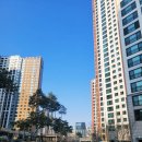 평촌두산위브리버뷰아파트 | 안양 호계동 신축아파트 평촌 두산위브리버뷰 실거주가격