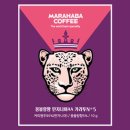 에스티엔(STN)커피