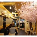 천회초밥 이미지