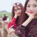 야호비치하우스 이미지