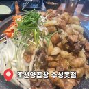 대구여행 | 조선양곱창 수성못점 / 가성비 곱창,대창 맛집 내돈내산 후기