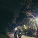 해나정