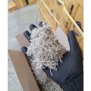 기선권현망수산업협동조합(멸치권현망수협) 이미지