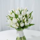 w-36 | [W-36] 내돈내산 포아럽 야외스냅 촬영 후기 (결과물 대만족…이건 꼭 해야 함)