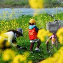 꽃과사람들 이미지