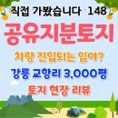 소나무 | '강원도 강릉시 주문진읍 교항리'공유지분토지 임장