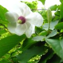 소사목장 이미지