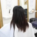 리온헤어 - 양산시 | 리온헤어