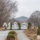코코온누리약국 티스토리