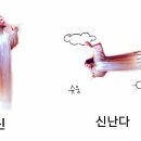 해곤선생