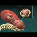 이진복한의원 이미지