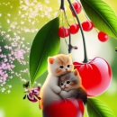 앵두 - 가평군 조종희망로 41 | 앵두