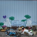 퍼플스테이 이미지