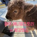 포천 아이와 가볼만한곳 마이애니멀스토리 3대 나들이 후기