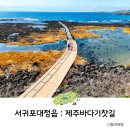 일과1리어촌계공동창고 | 제주 서쪽 숨은 명소 서귀포 대정읍 가볼만한곳