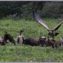 마곡역 화장실 이미지