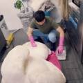 젠틀한 세탁소 이미지