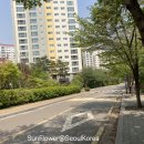 불광동 423 이미지