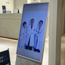 영앤유스 | [도곡 유스앤영의원 ] 50대 눈밑지방재배치 솔직 후기 + 붓기 관리 , 회복 과정