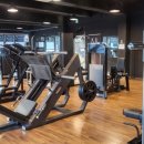 시골근육 이미지