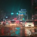 도교육청 사거리 이미지