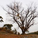 온고이지신 이미지