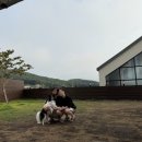 뭉구 애견 이미지