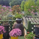 흙과나무 이미지