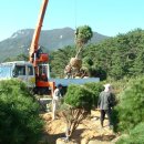 수림농장 이미지