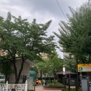 은행나무어린이공원화장실 이미지