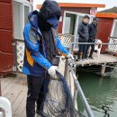 독도바다낚시터 이미지