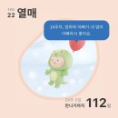 [열매일기] 24주~29주💖 임당검사&amp;입체초음파, 빈혈, 저장철수치, 철분주사, 리도멕스0.3