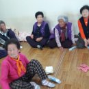 다대경로당 Daum카페