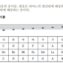 시크릿기타