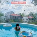 애월한담 민박 | 제주 애월 숙소 내돈내산 제주도 감성 돌집 구옥 숙소 제주 독채 펜션