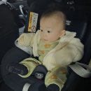 CAR플러스 | 브라이텍스 듀얼픽스 플러스 sm5 장착후기