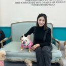 아이조아펫파크 동탄점 이미지