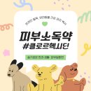 감일로약국 이미지