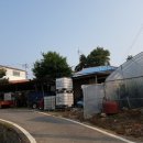 교동면-3 이미지