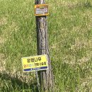 은행공원 내 이미지