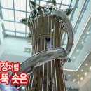 와이쉼표 이미지