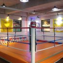 연수복싱체육관 이미지