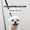 멍티움 이미지