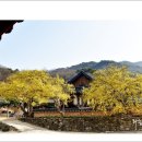 (주)남도연구소 이미지