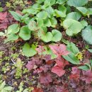 자여목욕탕 이미지