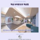 브라운도트2 | 강남 숙소 추천 역삼 브라운도트 후기 서울 호캉스 어때