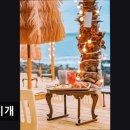 3753 | 제주시맛집 해지개 제주 애월에서 힐링해요