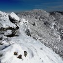 1월9일(토요당일)강원,정선의 두위봉/백운산 눈꽃산행 이미지