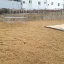 대구내서초등학교 이미지