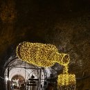 와인터널 이미지